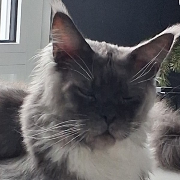 Milo