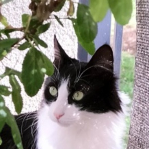 Max