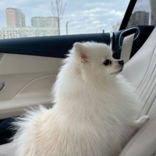 Laska