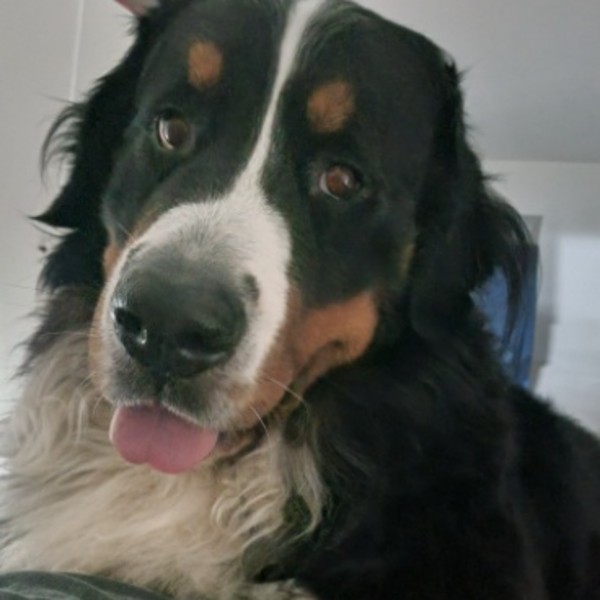 Paco