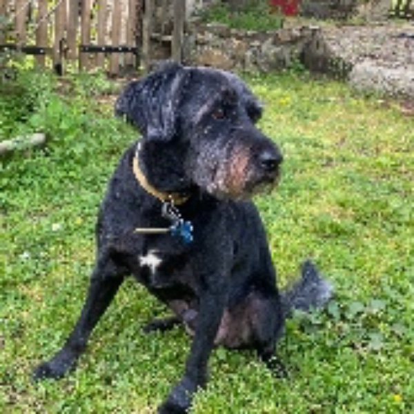 Oskar