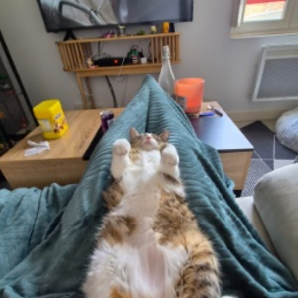 Grumpy