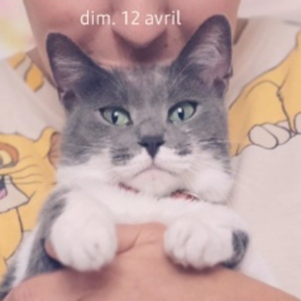 Mimi