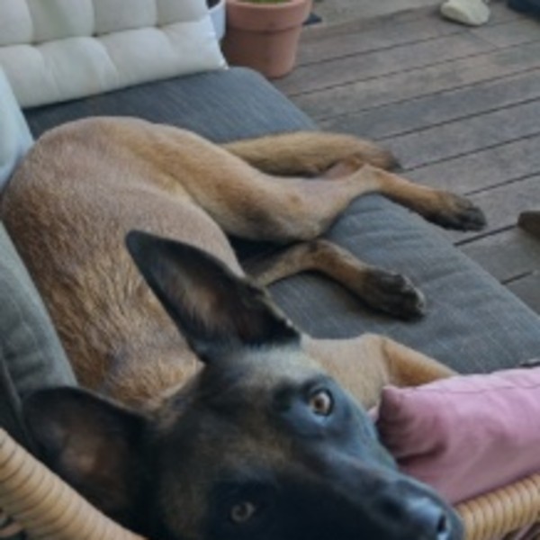 Freya
