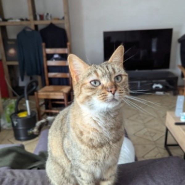 Mia