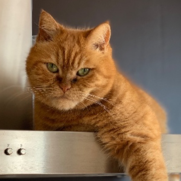 Weasley aka Bibi
