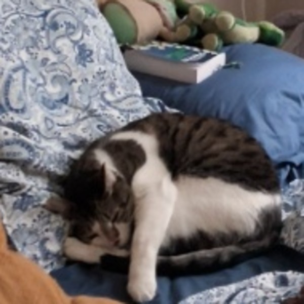 Mushu