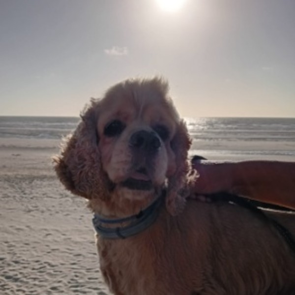 Rio