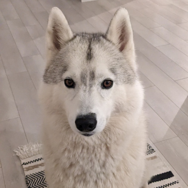 Kita