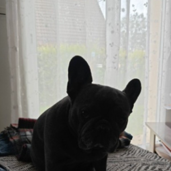 Abby