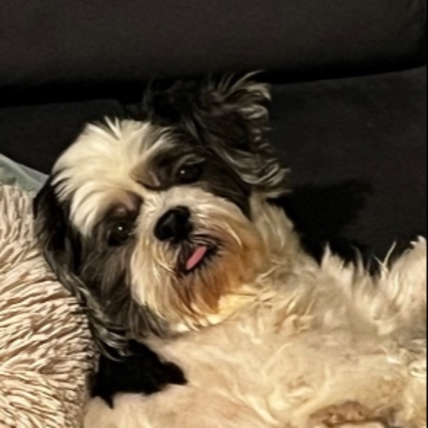 Lizi