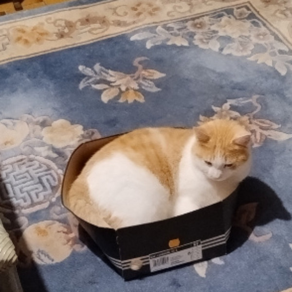 caramel