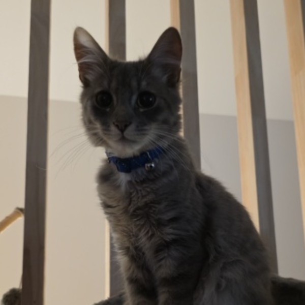 Ezra