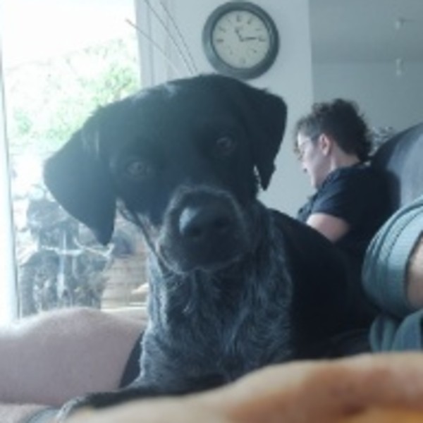 Viko