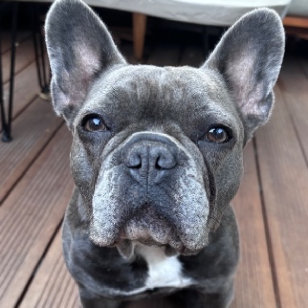 Romy
