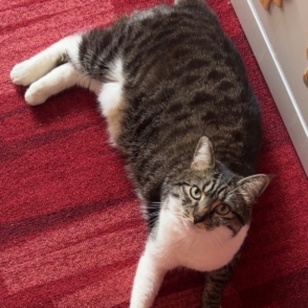 Mouchie