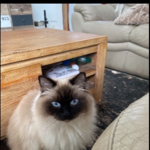 Sacha