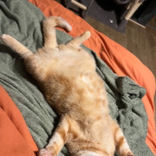 Walter
