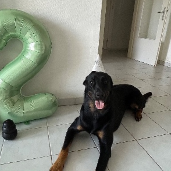 Ares