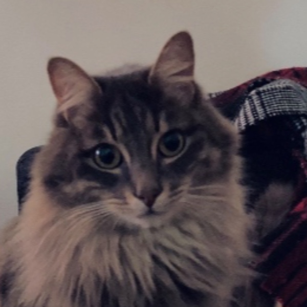 Oskar
