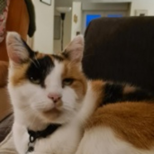 Babouche