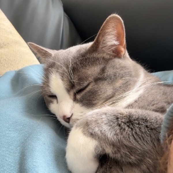 Milka