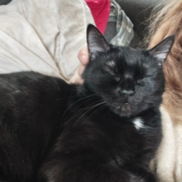 Mimi