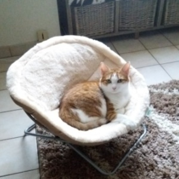 Kiki
