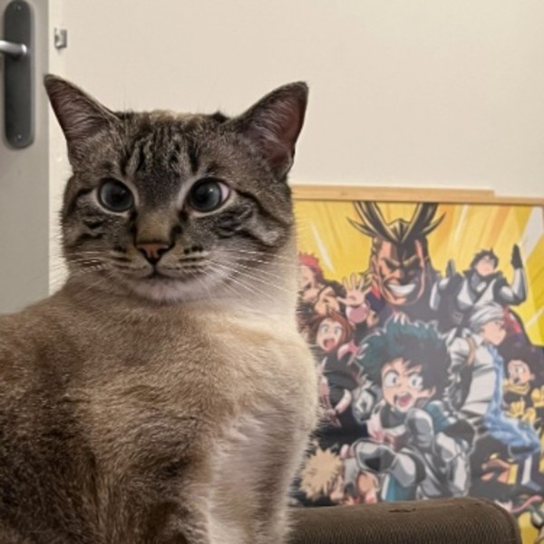 Saïko