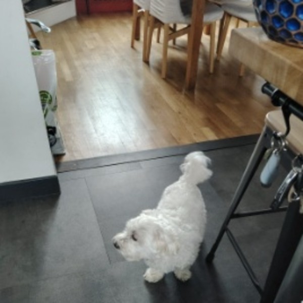 Samy