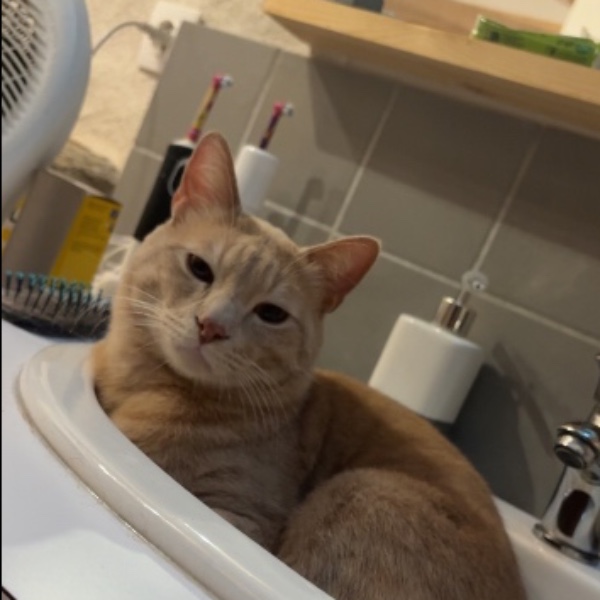 Pablo