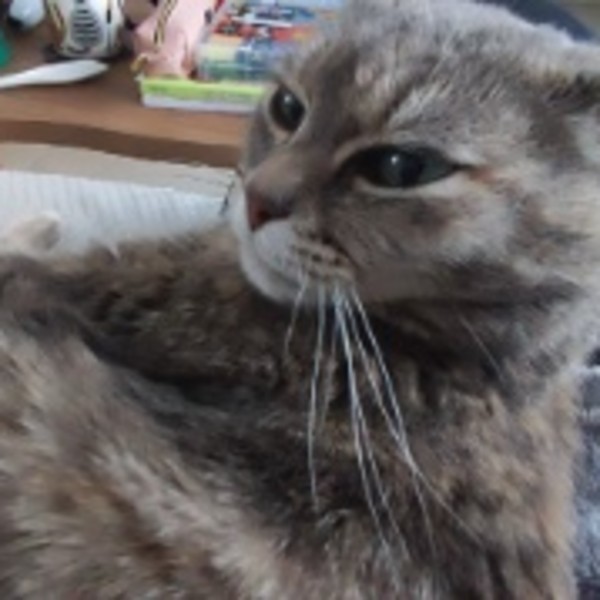Juliette