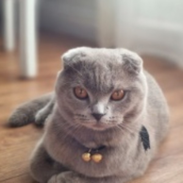Rosie