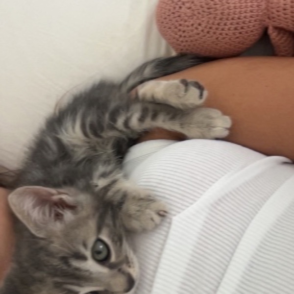 rafiki