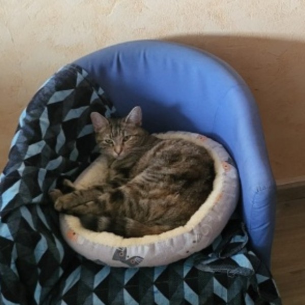 Fidji