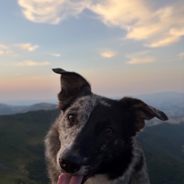 Una