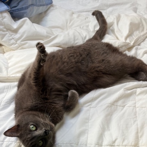 Mimi