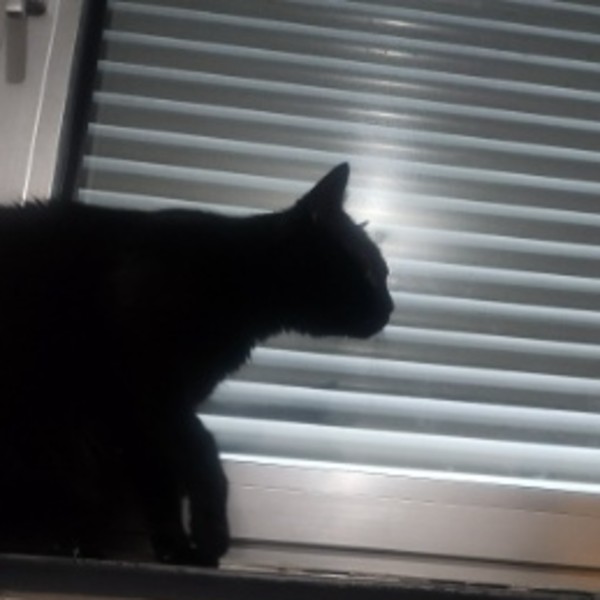Mogwaï