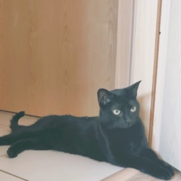 naya