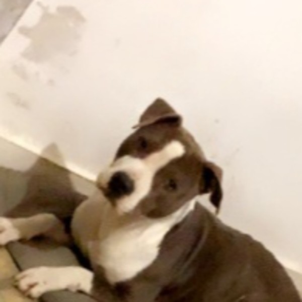 Nikky