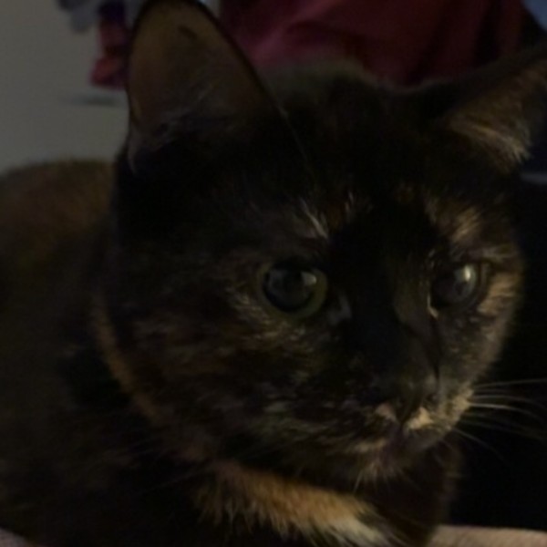 Millie