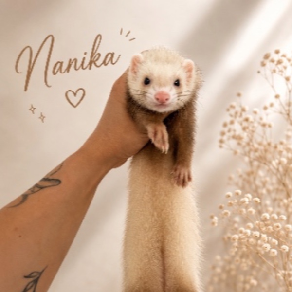 Nanika