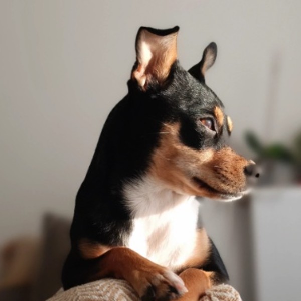 RITA