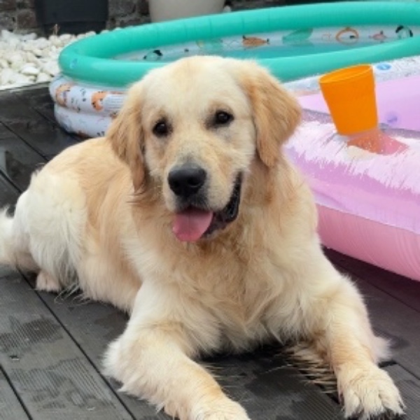 Athos