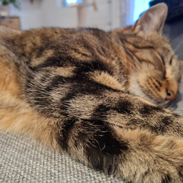 Abby