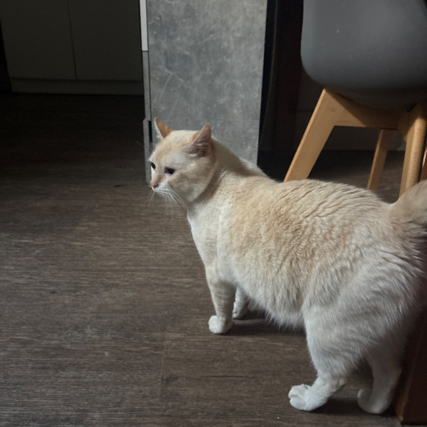 Casper
