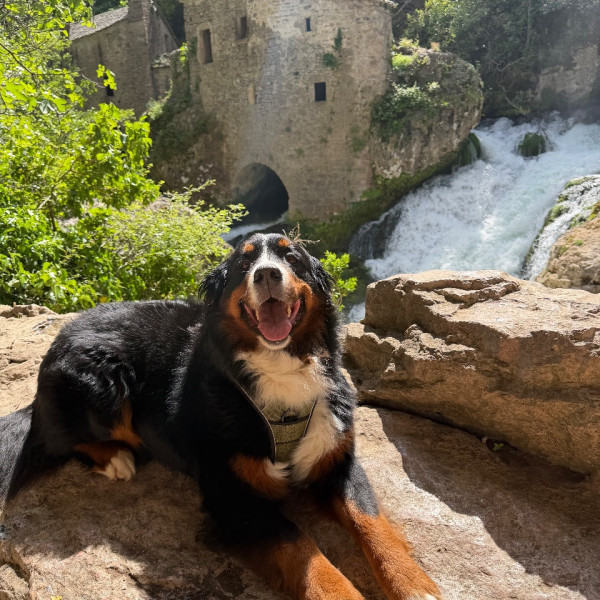 Kyra