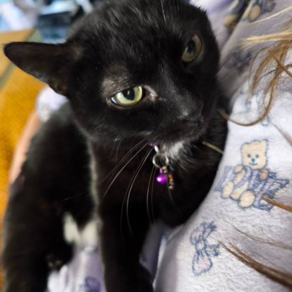 Luna