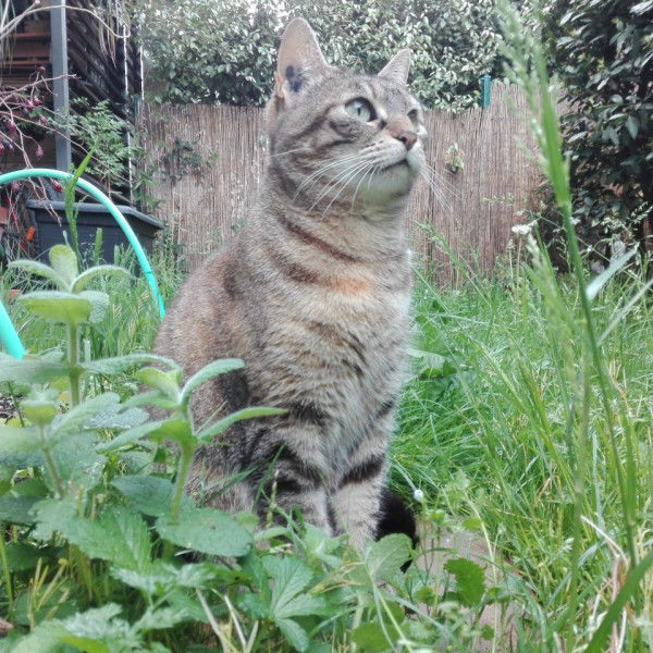 Prudence
