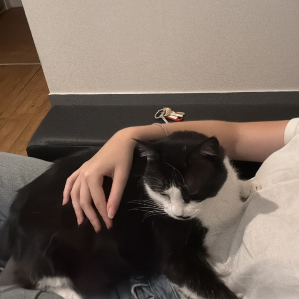 Loki
